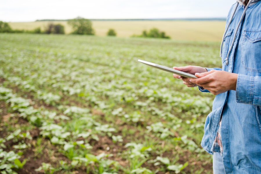 Woman holding a tablet next to a farm field with copy space
