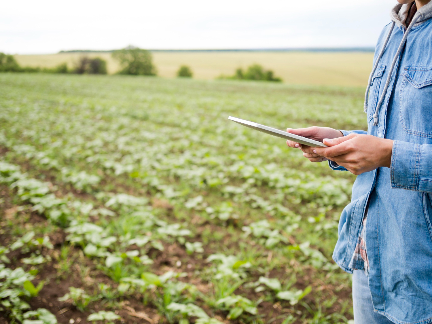 Woman holding a tablet next to a farm field with copy space